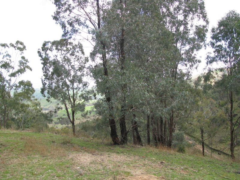 525 Goobragandra Road, Tumut NSW 2720