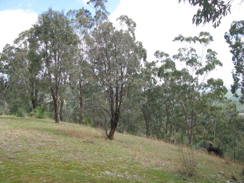 525 Goobragandra Road, Tumut NSW 2720
