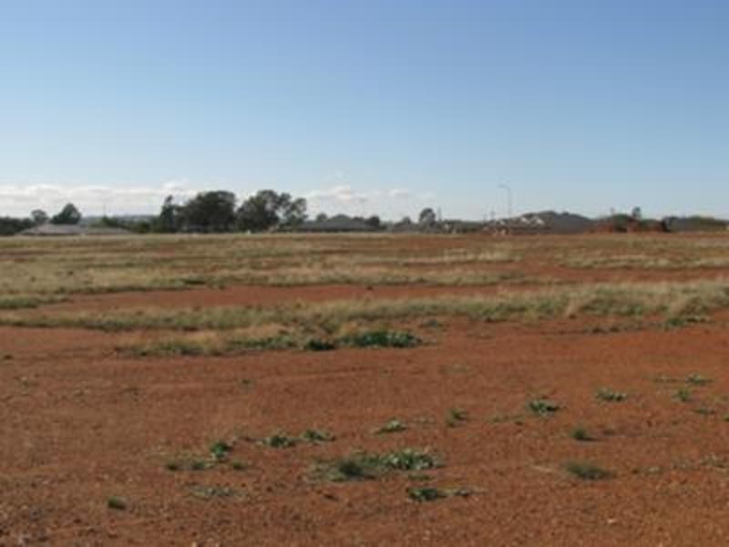 0 Coolamon Subdivision, Coolamon NSW 2701