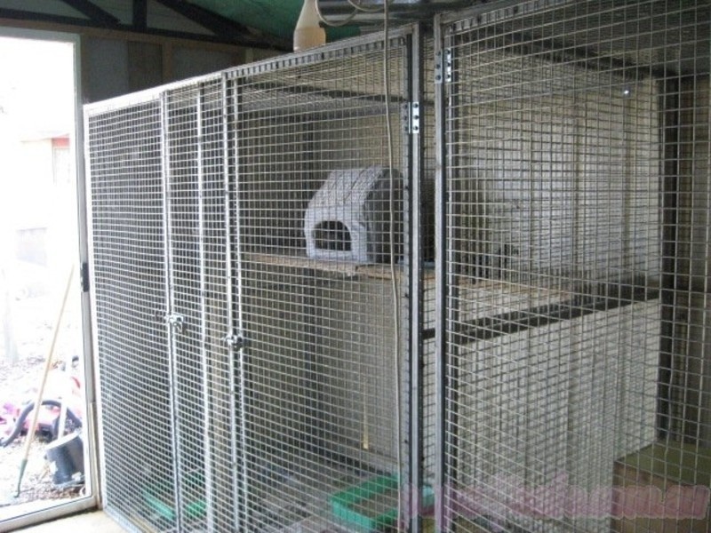 8 Maher Drive, Swan Hill VIC 3585