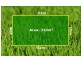 LOT 7 Steinbeck Street, Greenvale VIC 3059