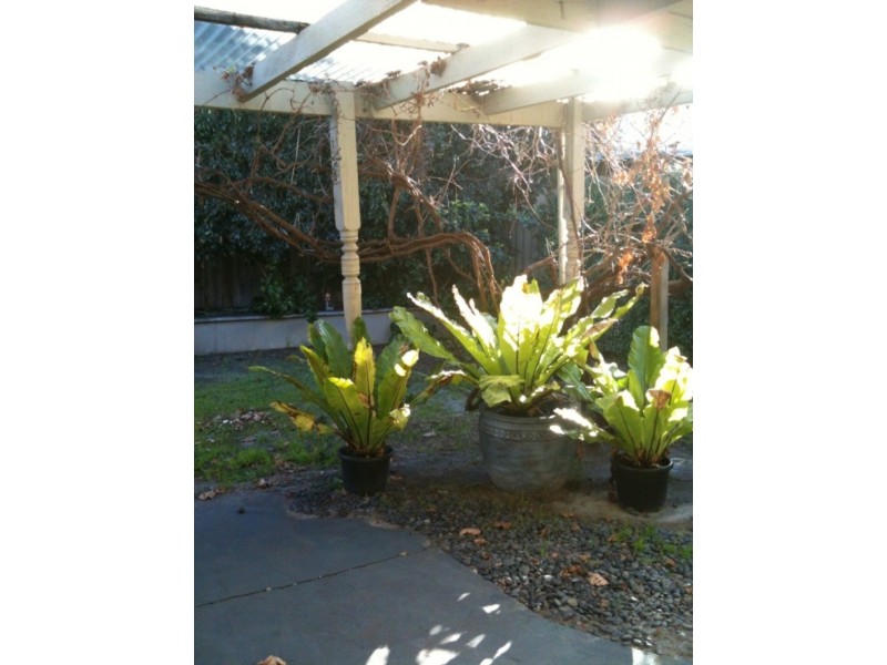 85 Princess Rd, Claremont WA 6010