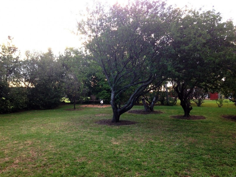 8 Locke Street, Warwick QLD 4370