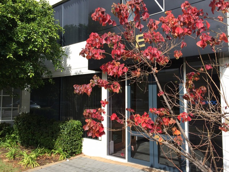 Suite E5/661 Newcastle Street, Leederville WA 6007