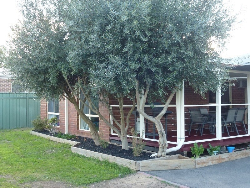 107 Ryalls Lane, Strathfieldsaye VIC 3551