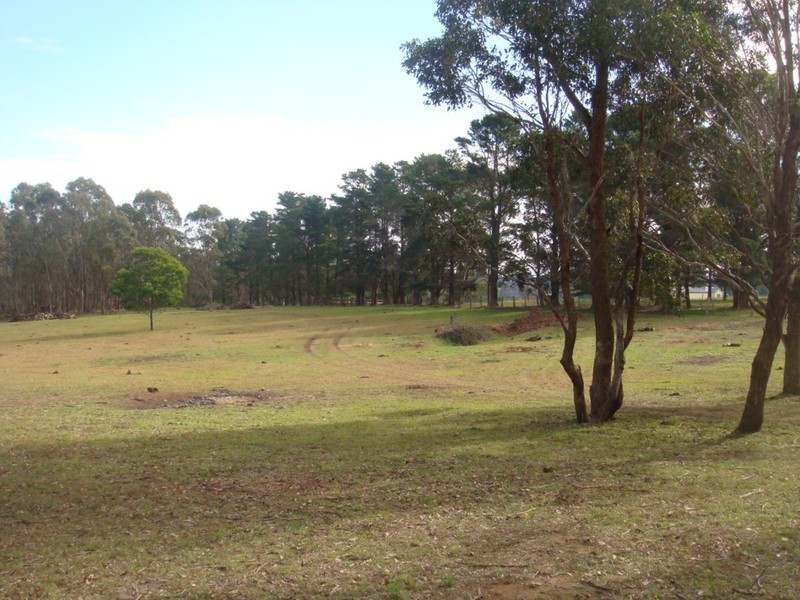 170  Donalds Range Road, Razorback NSW 2571