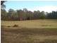 170  Donalds Range Road, Razorback NSW 2571
