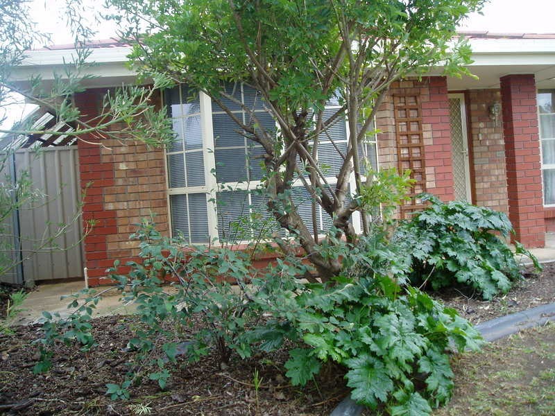 453 Whites Road, Parafield Gardens SA 5107