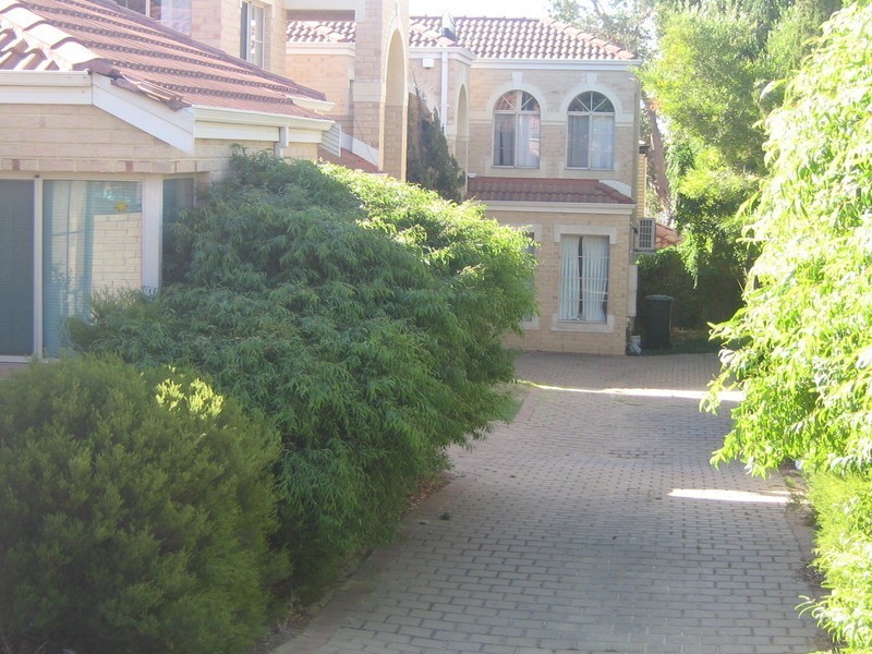 3/215 McDonald Street, Joondanna WA 6060