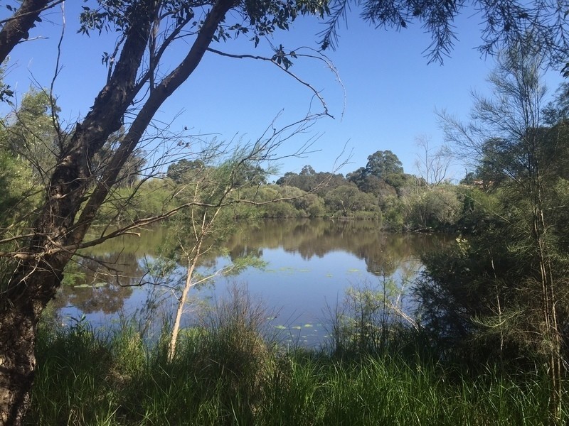 14 Hyland Street, Bassendean WA 6054