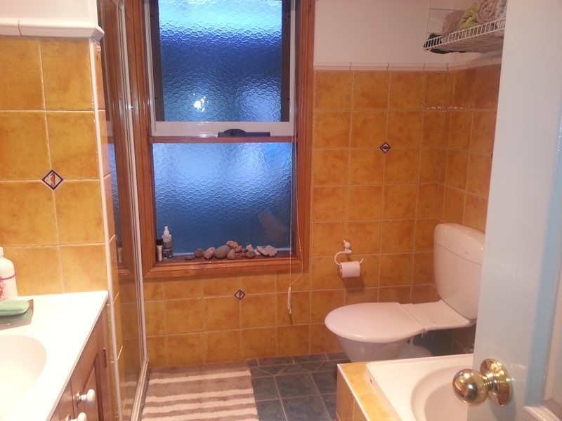 100 Jollys Hill Road, Smythes Creek VIC 3351