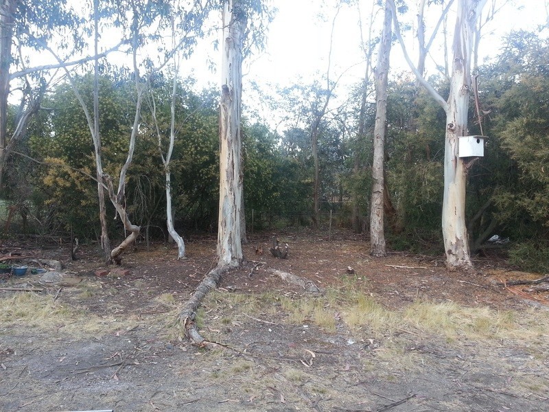 100 Jollys Hill Road, Smythes Creek VIC 3351