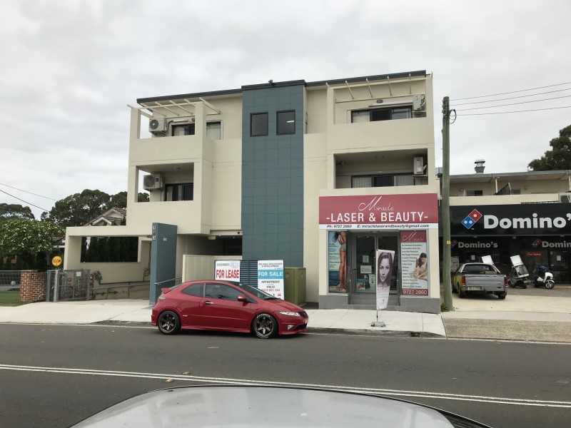 133 Polding Street, Fairfield Heights NSW 2165