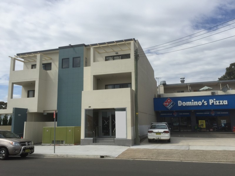 133 Polding Street, Fairfield Heights NSW 2165