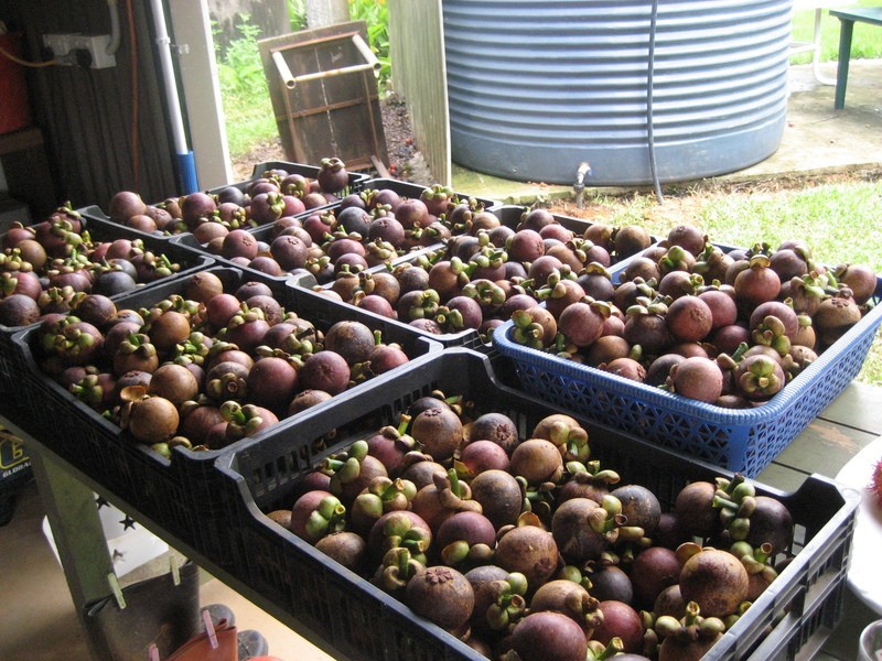 10 Fisher Creek Road, Coorumba QLD 4860