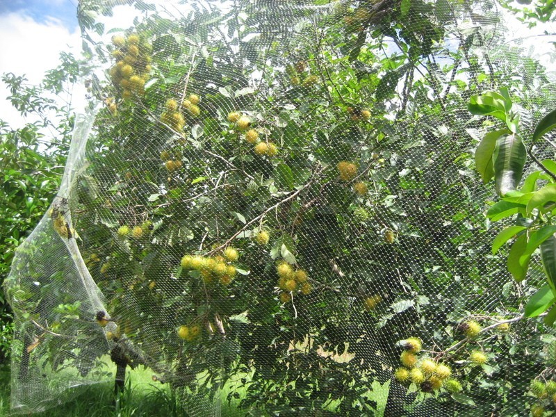 10 Fisher Creek Road, Coorumba QLD 4860