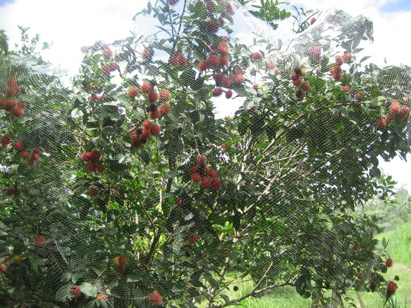 10 Fisher Creek Road, Coorumba QLD 4860