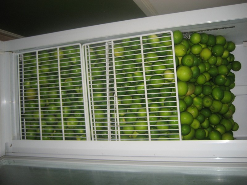 10 Fisher Creek Road, Coorumba QLD 4860