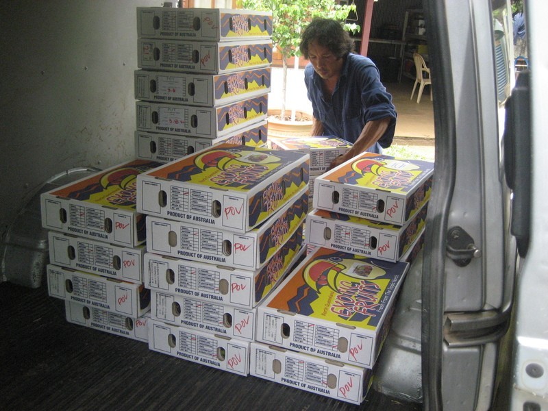 10 Fisher Creek Road, Coorumba QLD 4860