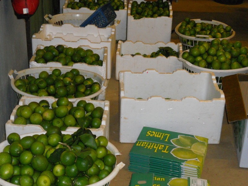 10 Fisher Creek Road, Coorumba QLD 4860