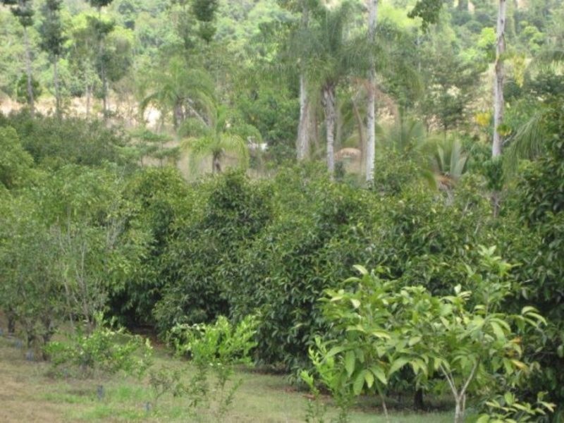 10 Fishers Creek Road, Coorumba QLD 4860