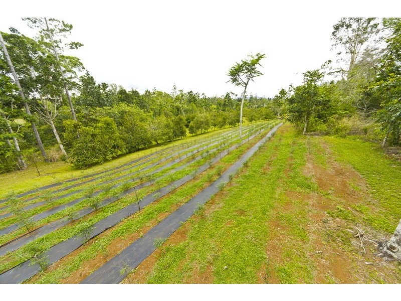 10 Fishers Creek Road, Coorumba QLD 4860