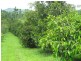 10 Fishers Creek Road, Coorumba QLD 4860
