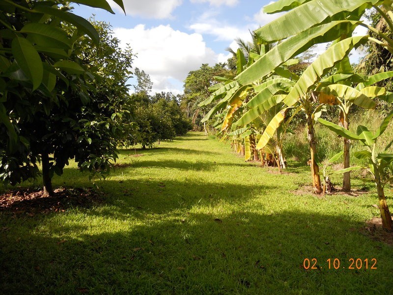 10 Fishers Creek Road, Coorumba QLD 4860
