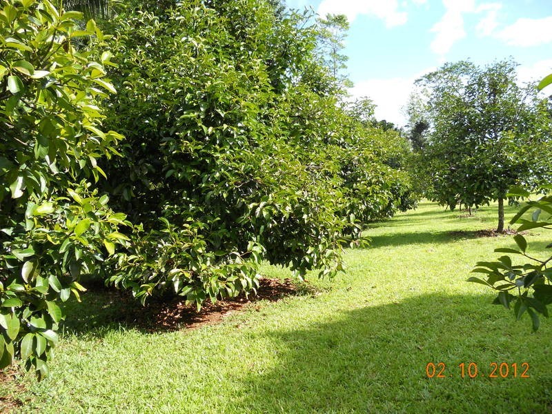 10 Fishers Creek Road, Coorumba QLD 4860