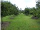 10 Fishers Creek Road, Coorumba QLD 4860