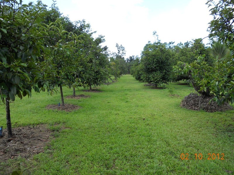 10 Fishers Creek Road, Coorumba QLD 4860