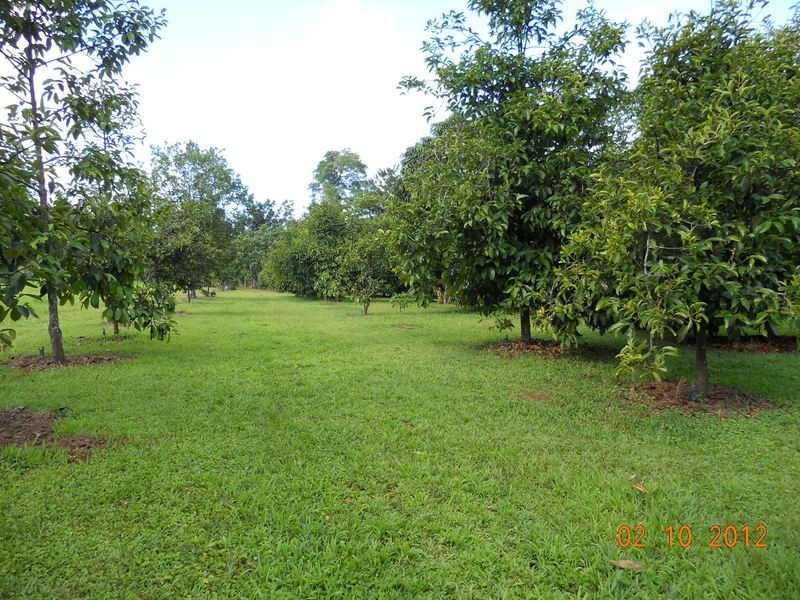 10 Fishers Creek Road, Coorumba QLD 4860