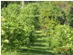 10 Fishers Creek Road, Coorumba QLD 4860
