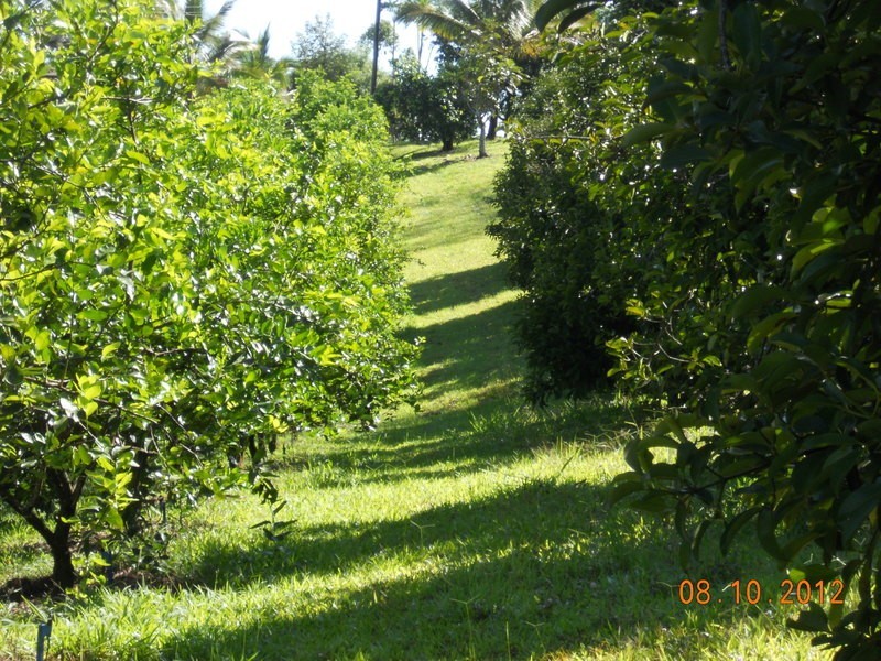 10 Fishers Creek Road, Coorumba QLD 4860
