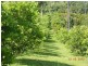 10 Fishers Creek Road, Coorumba QLD 4860