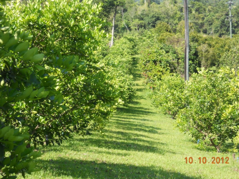 10 Fishers Creek Road, Coorumba QLD 4860