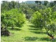 10 Fishers Creek Road, Coorumba QLD 4860