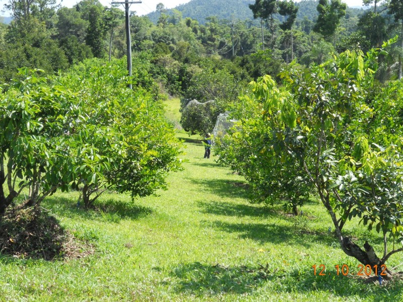 10 Fishers Creek Road, Coorumba QLD 4860