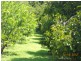10 Fishers Creek Road, Coorumba QLD 4860