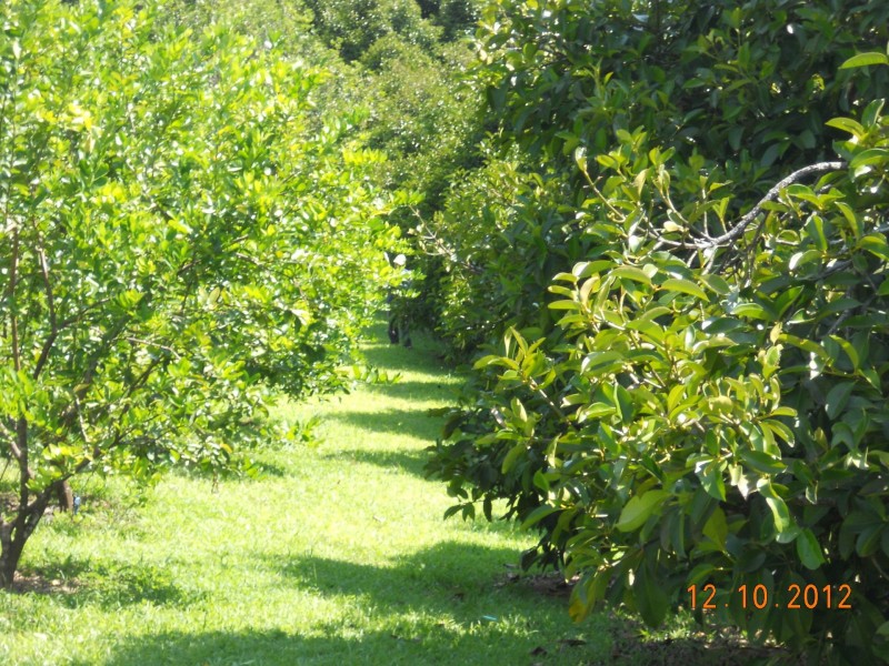 10 Fishers Creek Road, Coorumba QLD 4860