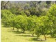10 Fishers Creek Road, Coorumba QLD 4860