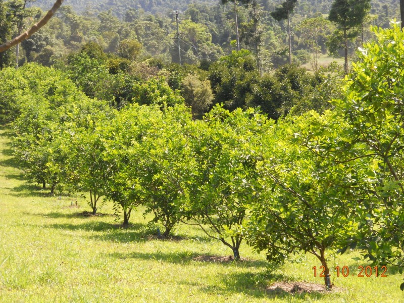 10 Fishers Creek Road, Coorumba QLD 4860