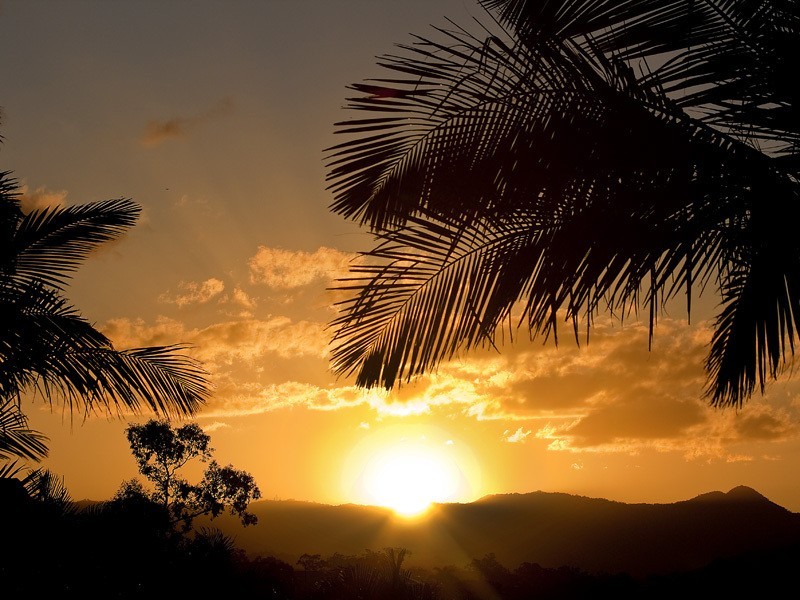 12 Wanda Court, Albany Creek QLD 4035