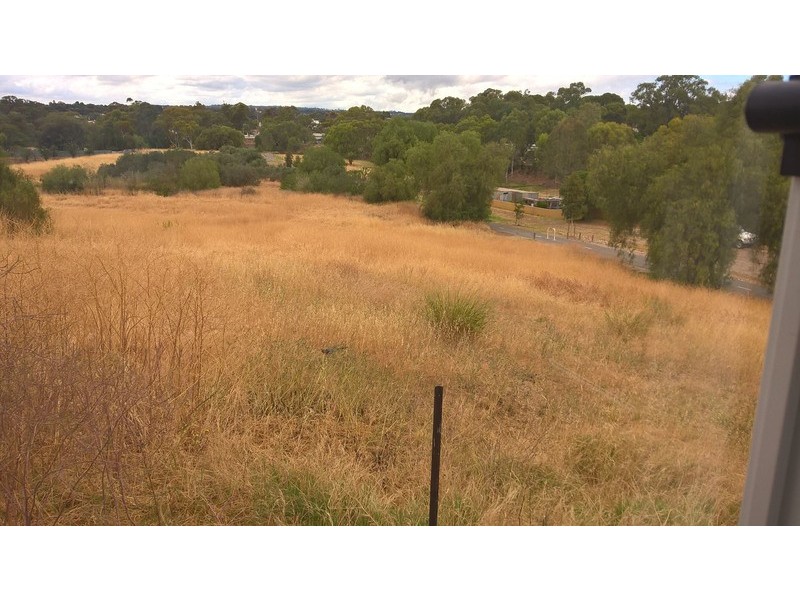 30 Burrows Street, Willaston SA 5118