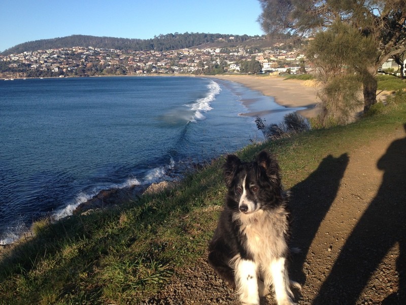 169 Roslyn Avenue, Blackmans Bay TAS 7052