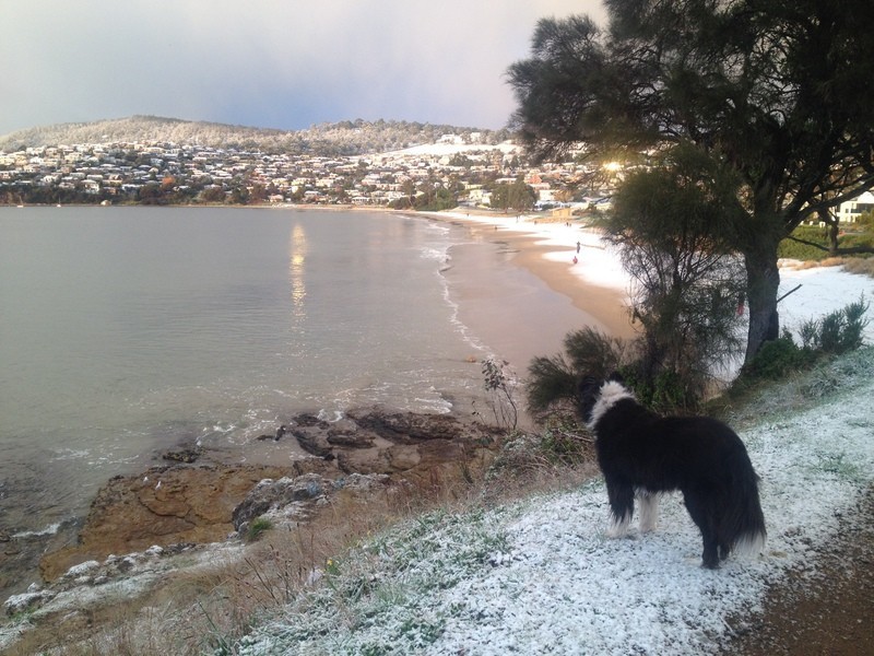 169 Roslyn Avenue, Blackmans Bay TAS 7052