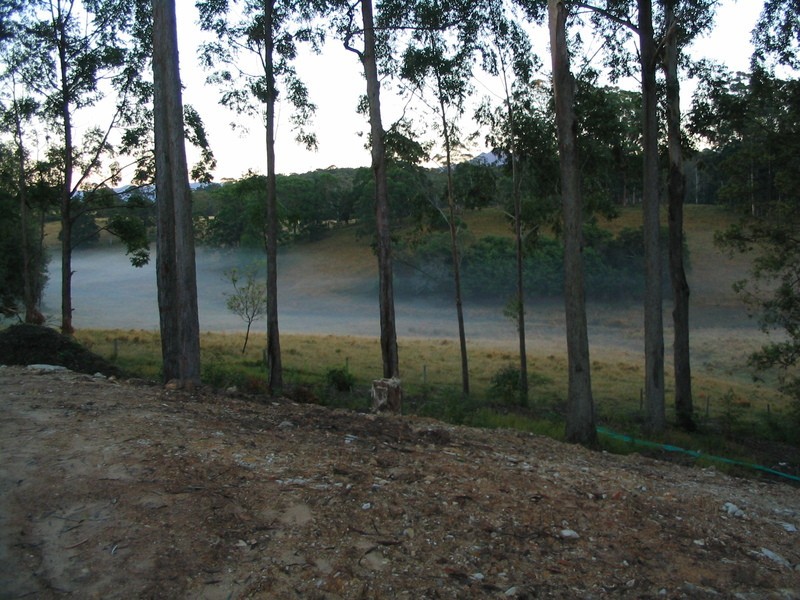 55 Joeliza Drv, Coffs Harbour NSW 2450