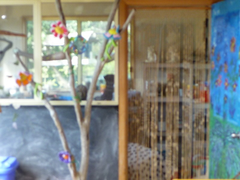 46 Apex Point Rd, White Beach TAS 7184