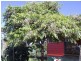 46 Apex Point Rd, White Beach TAS 7184
