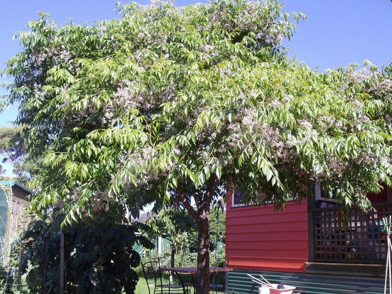 46 Apex Point Rd, White Beach TAS 7184